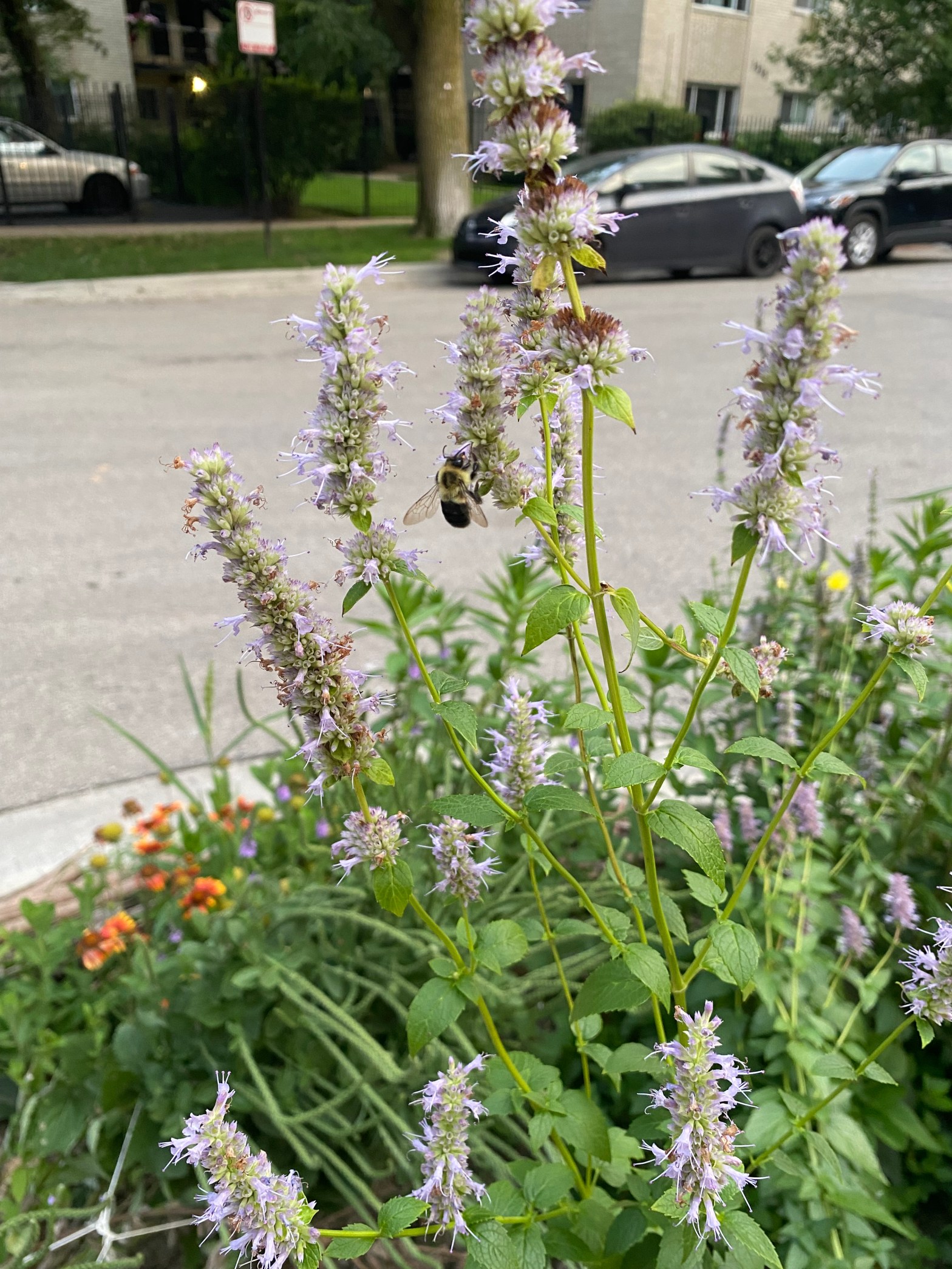 Visitors to the&nbsp;Garden