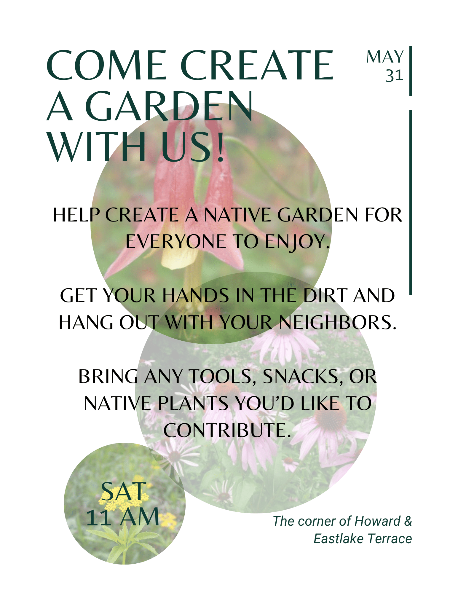 Let’s Grow Rogers Park: A Native Garden Project for and by the&nbsp;Community