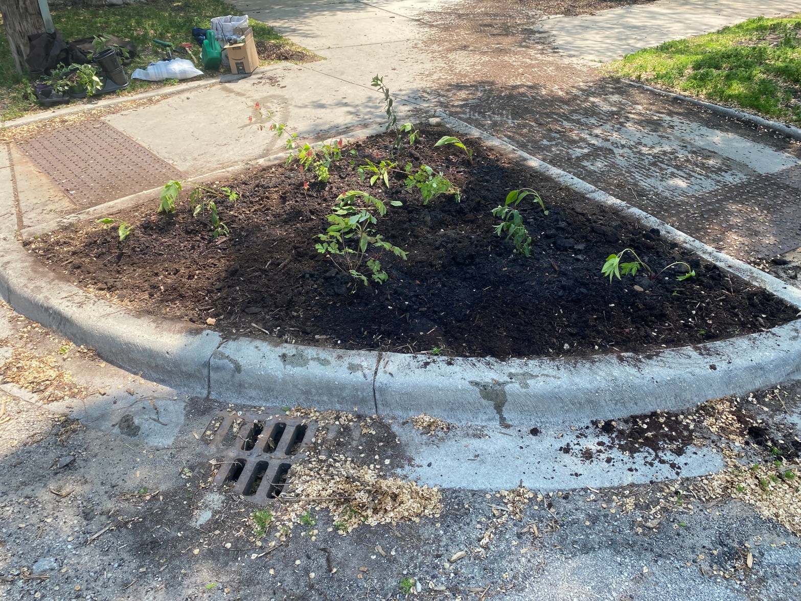 A New Chapter for an Old Corner: The Native Garden Is&nbsp;In!